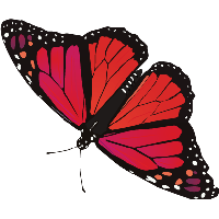 Butterfly Png Image PNG Image