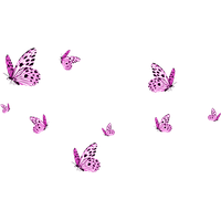Pink Butterfly Photos HD Image Free PNG