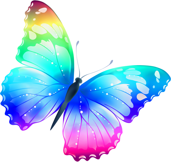 Butterfly Photos Vector Download Free Image PNG Image