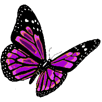 Flying Butterfly Png Image PNG Image