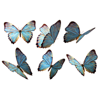 Butterfly Png 2 PNG Image