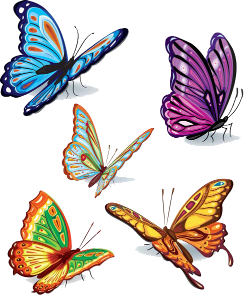 Butterflies Vector Image PNG Image
