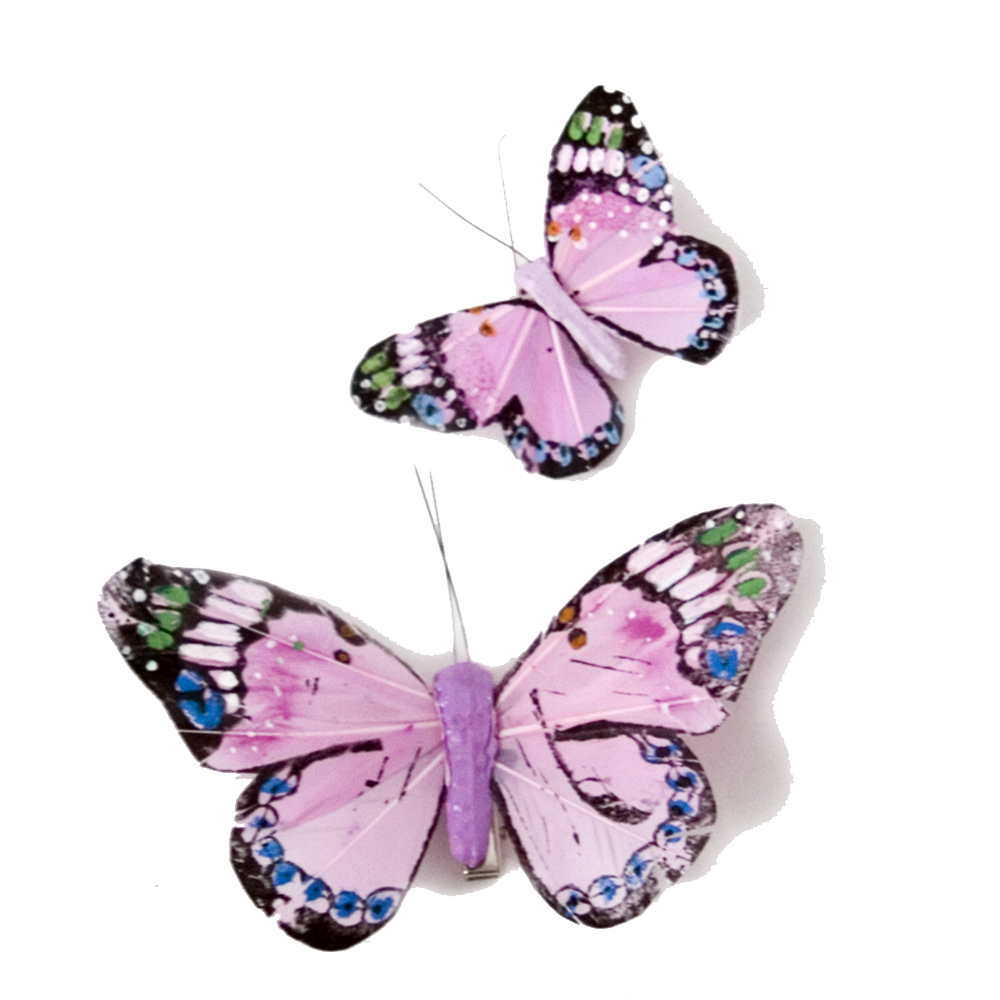 Free Free 292 Butterfly Svg Transparent Background SVG PNG EPS DXF File