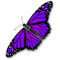 Purple Butterfly Transparent