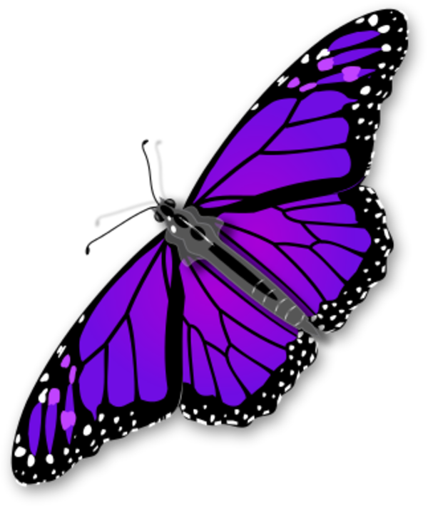 Purple Butterfly Transparent PNG Image