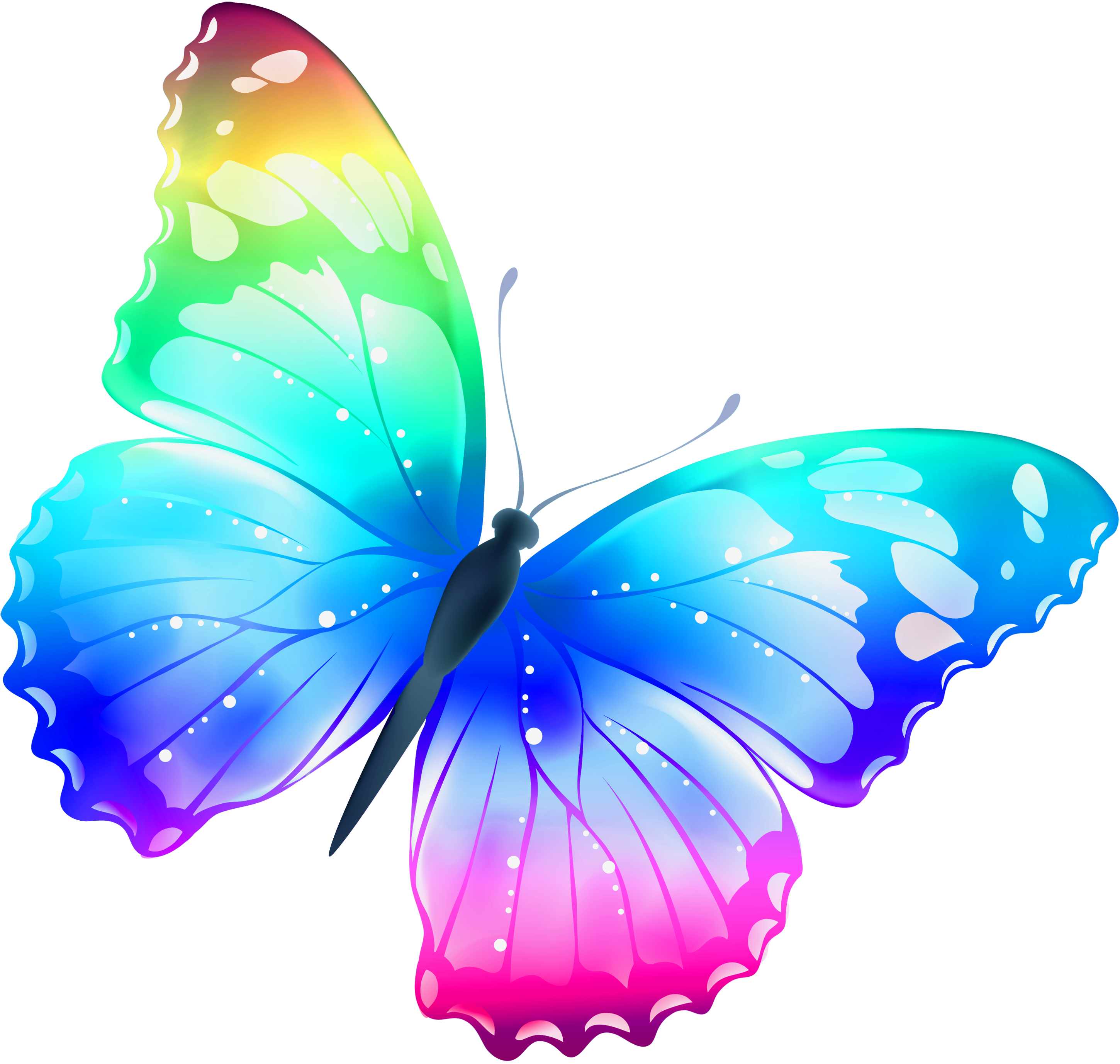 Flying Butterflys Stock Photo - Download Image Now - Butterfly