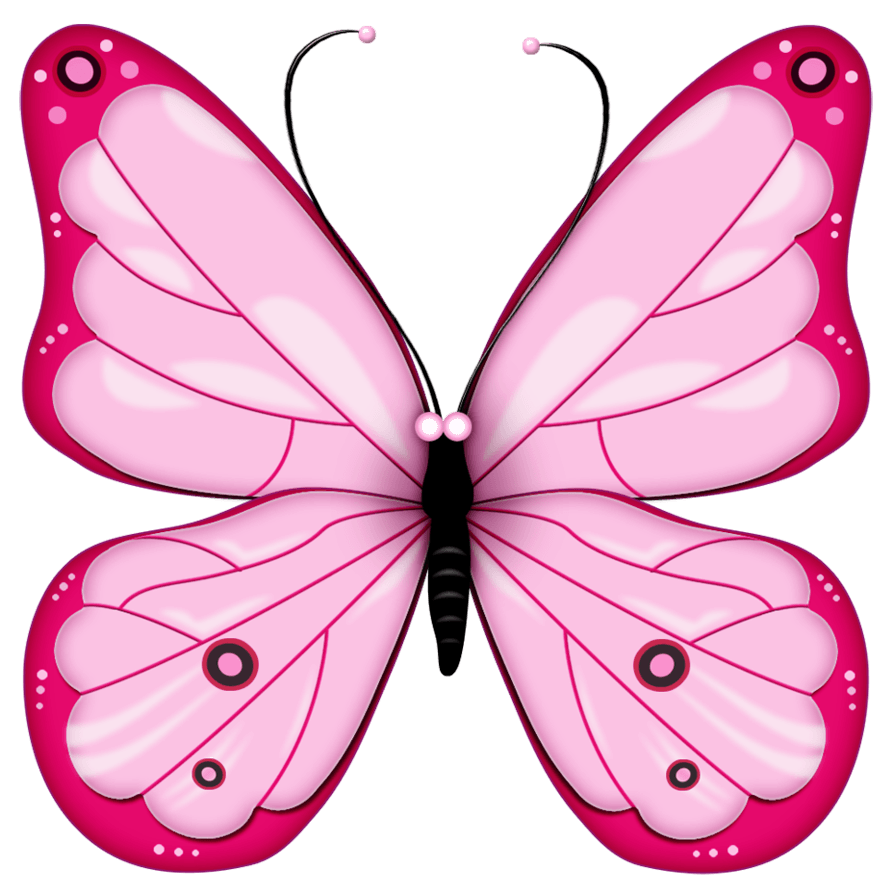 Pink Butterfly Png Image Butterflies PNG Image