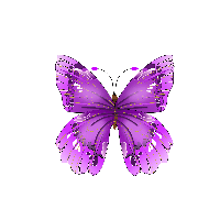 Pink Butterfly Png Image Butterflies Transparent HQ PNG Download ...