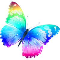 Colorful Butterfly Png Image PNG Image