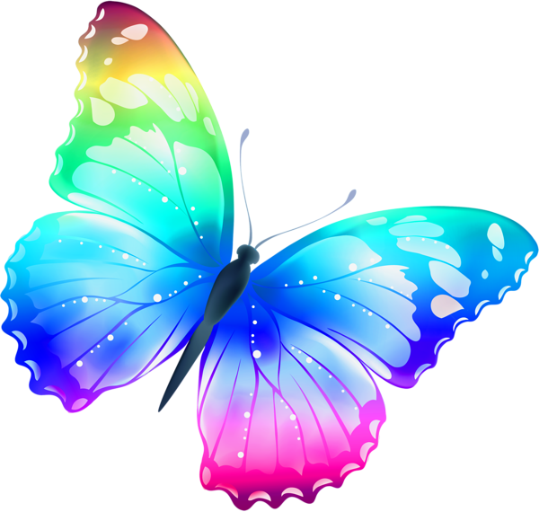 Colorful Butterfly Png Image PNG Image