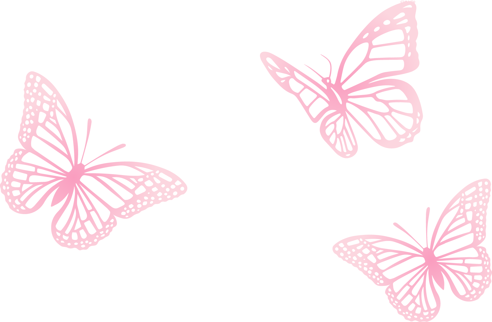 Butterfly Pink Painted Three Euclidean Vector PNG Image