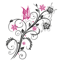 Download Butterfly Free PNG photo images and clipart | FreePNGImg