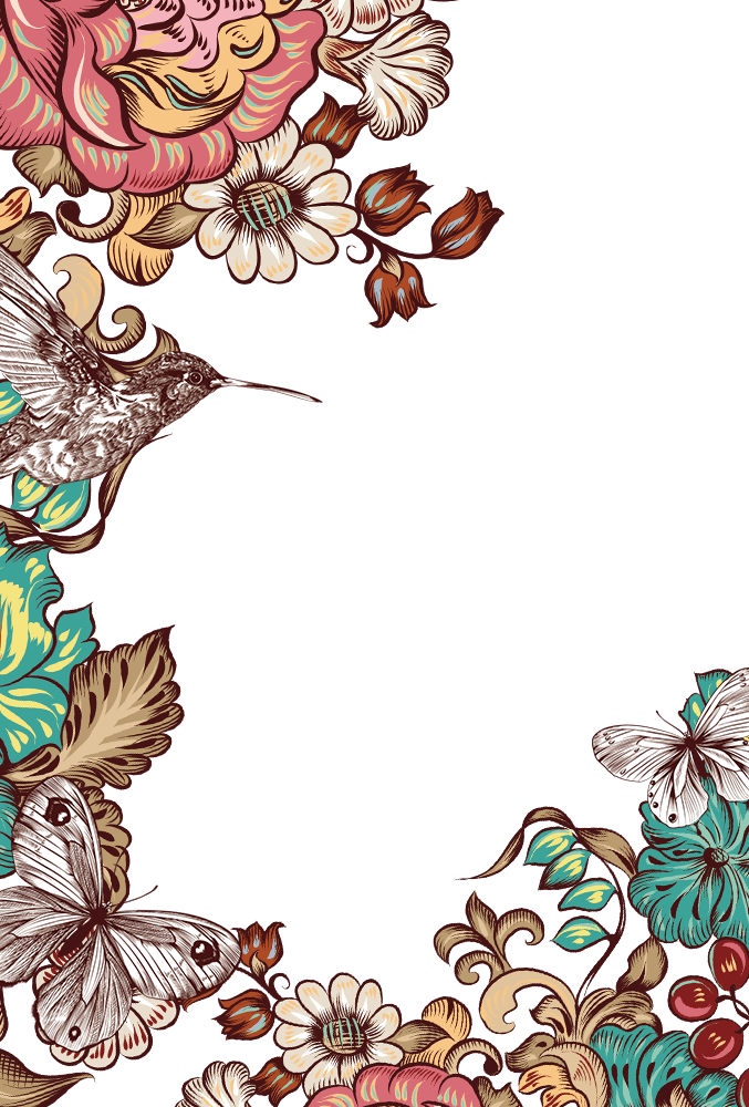 Butterfly Flower Border Bird Hand-Painted Free Frame PNG Image