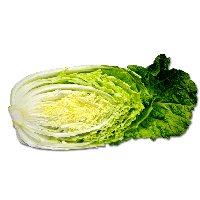 Cabbage Png Image PNG Image