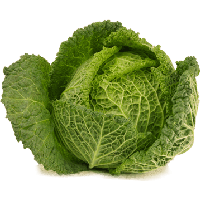 Cabbage Png Image PNG Image