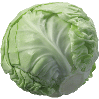 Cabbage Png Image PNG Image