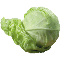 Cabbage Png Image PNG Image