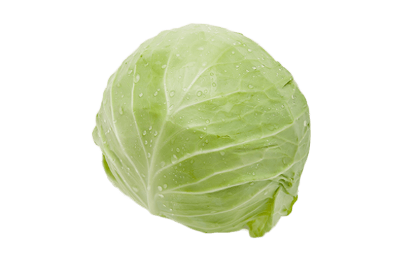 Cabbage Png Image PNG Image