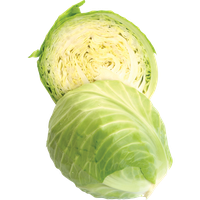 Fresh Cabbage Half Free Clipart HQ PNG