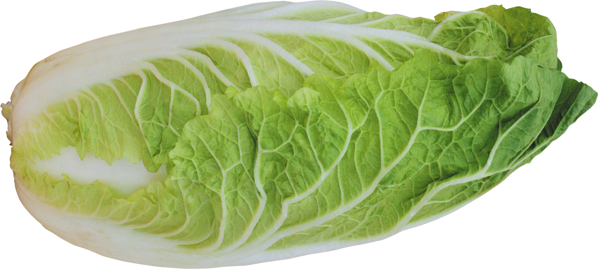 Cabbage Half Free Download Image PNG Image