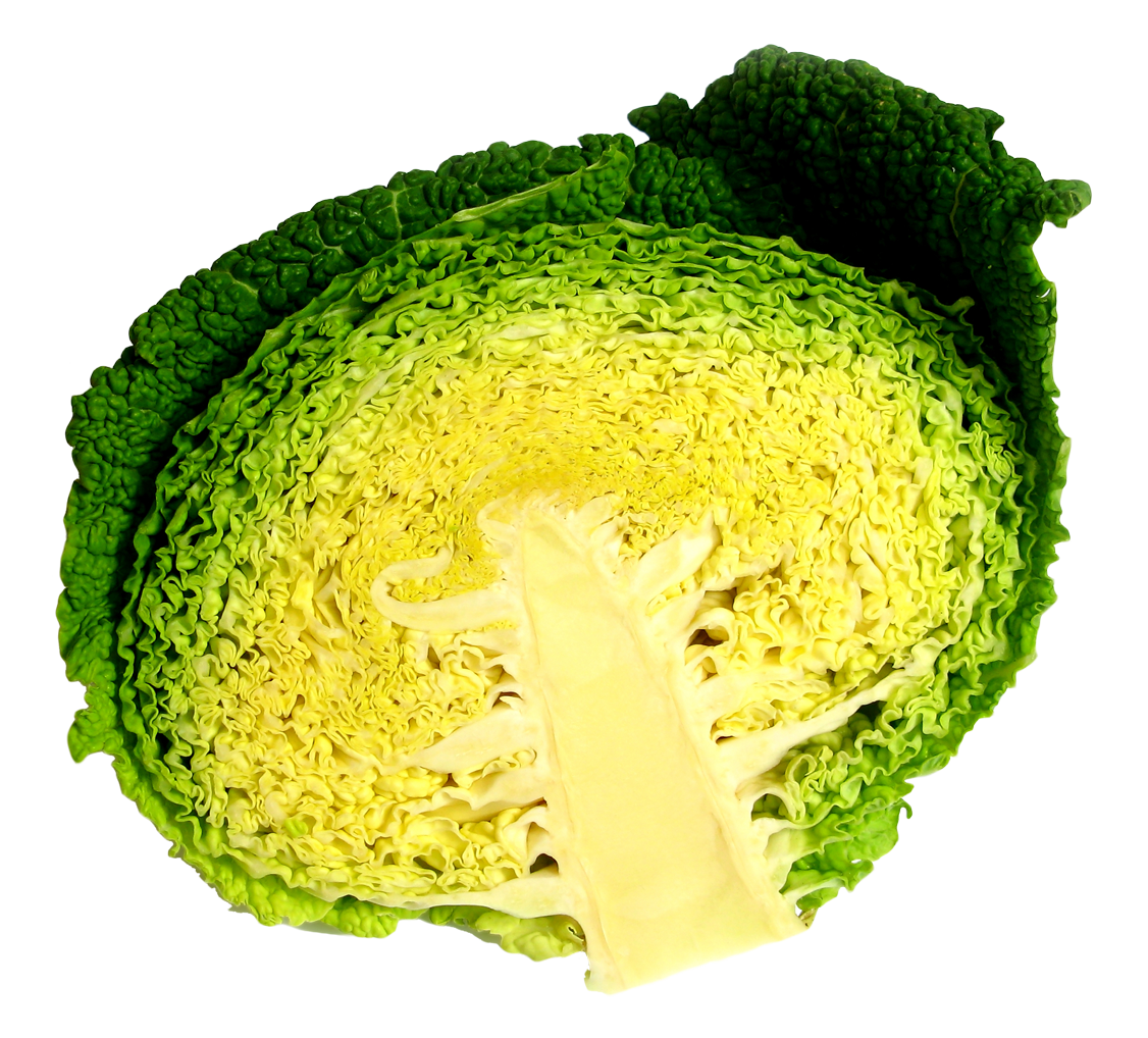 Fresh Cabbage Half Free Transparent Image HQ PNG Image
