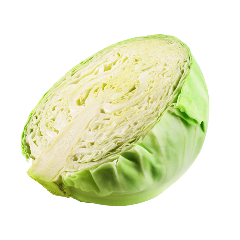 Fresh Cabbage Photos Half Download HQ PNG Image