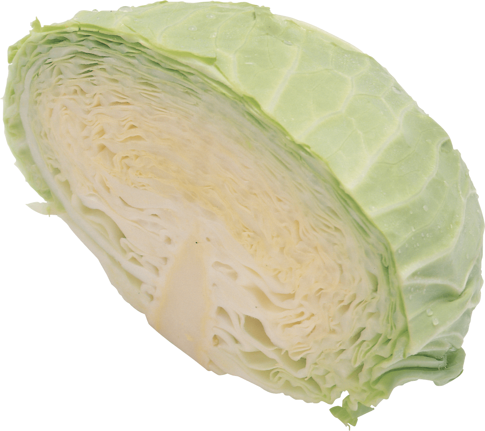 Cabbage Png Image PNG Image