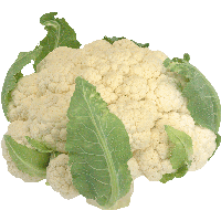 Cauliflower Png Image PNG Image