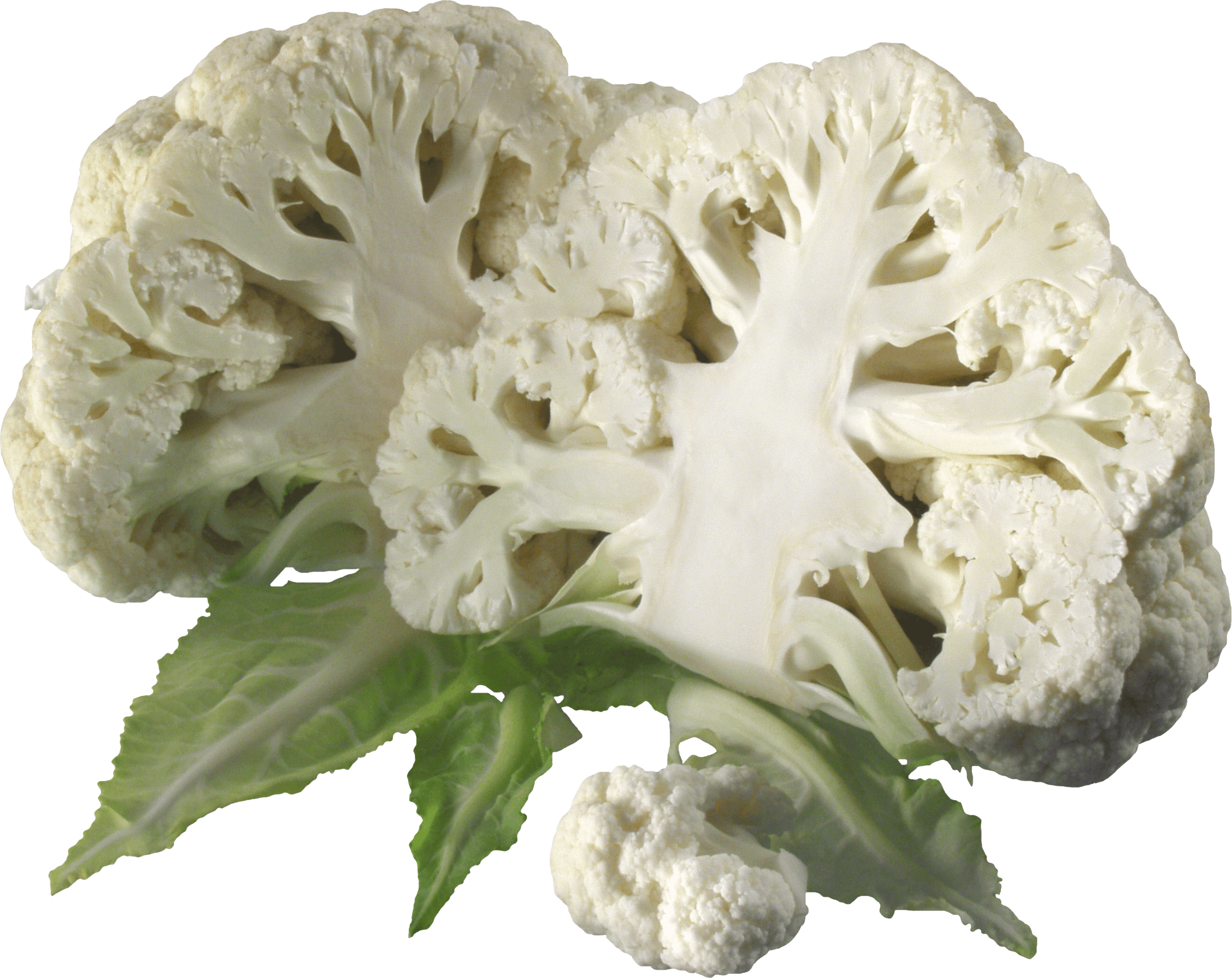 Cauliflower Png Image PNG Image