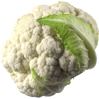 Cauliflower Png Image PNG Image