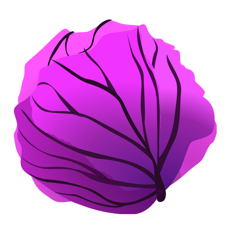 Purple Cabbage Clipart