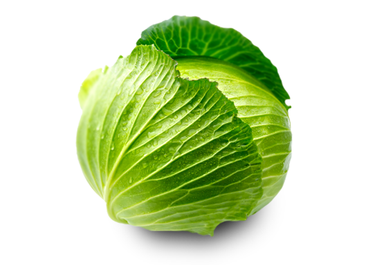 Green Cabbage PNG Image
