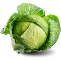 Cabbage Family Vegetable PNG Image