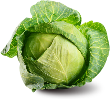 Cabbage Family Vegetable PNG Image