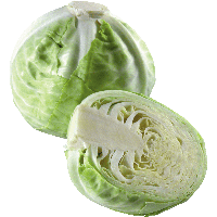 Cabbage Png Image PNG