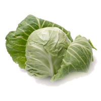Cabbage PNG