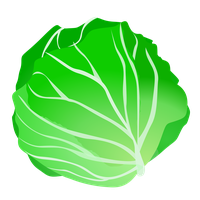 Cabbage Transparent Transparent PNG Image
