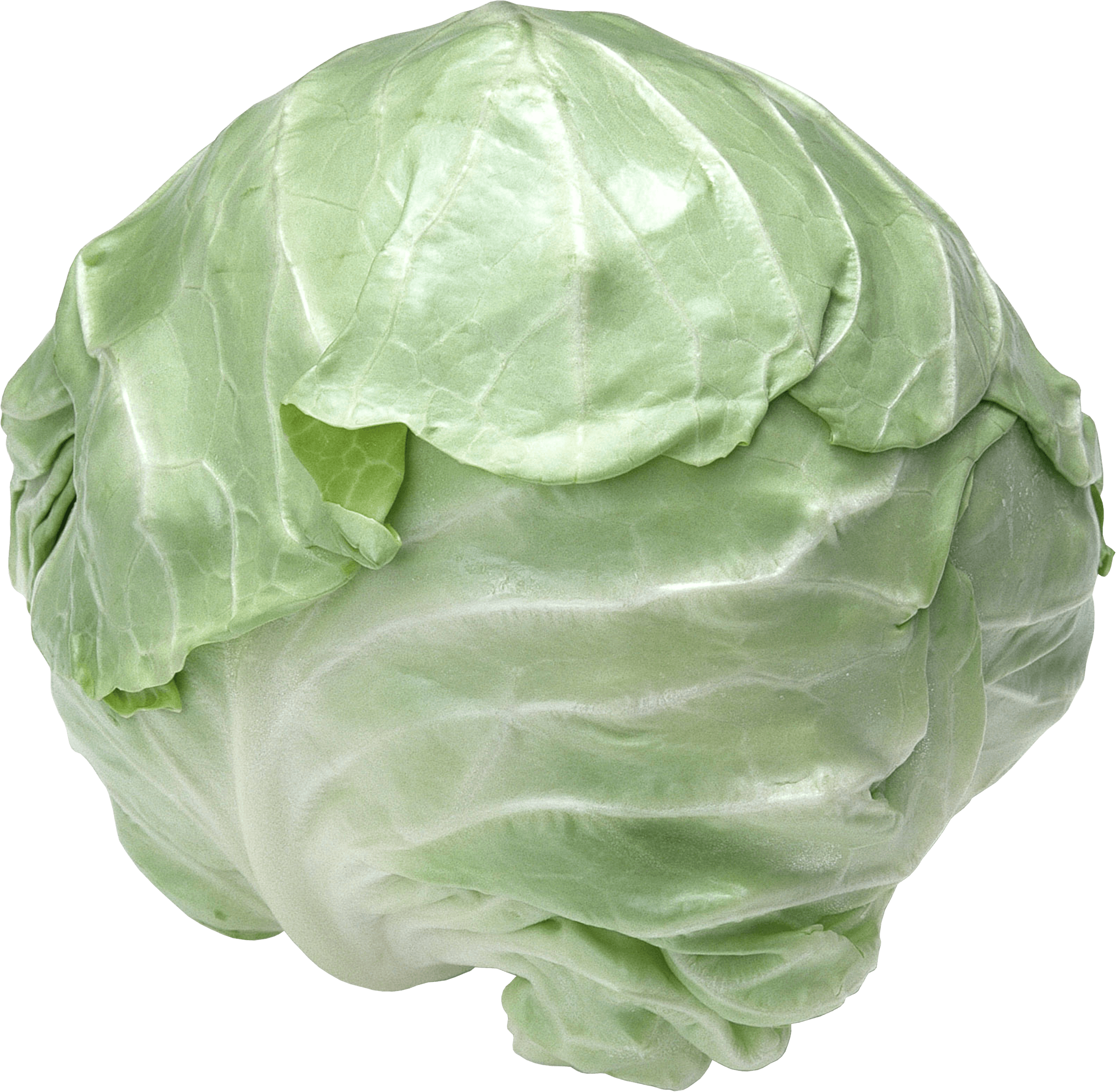 Cabbage Png Image PNG Image