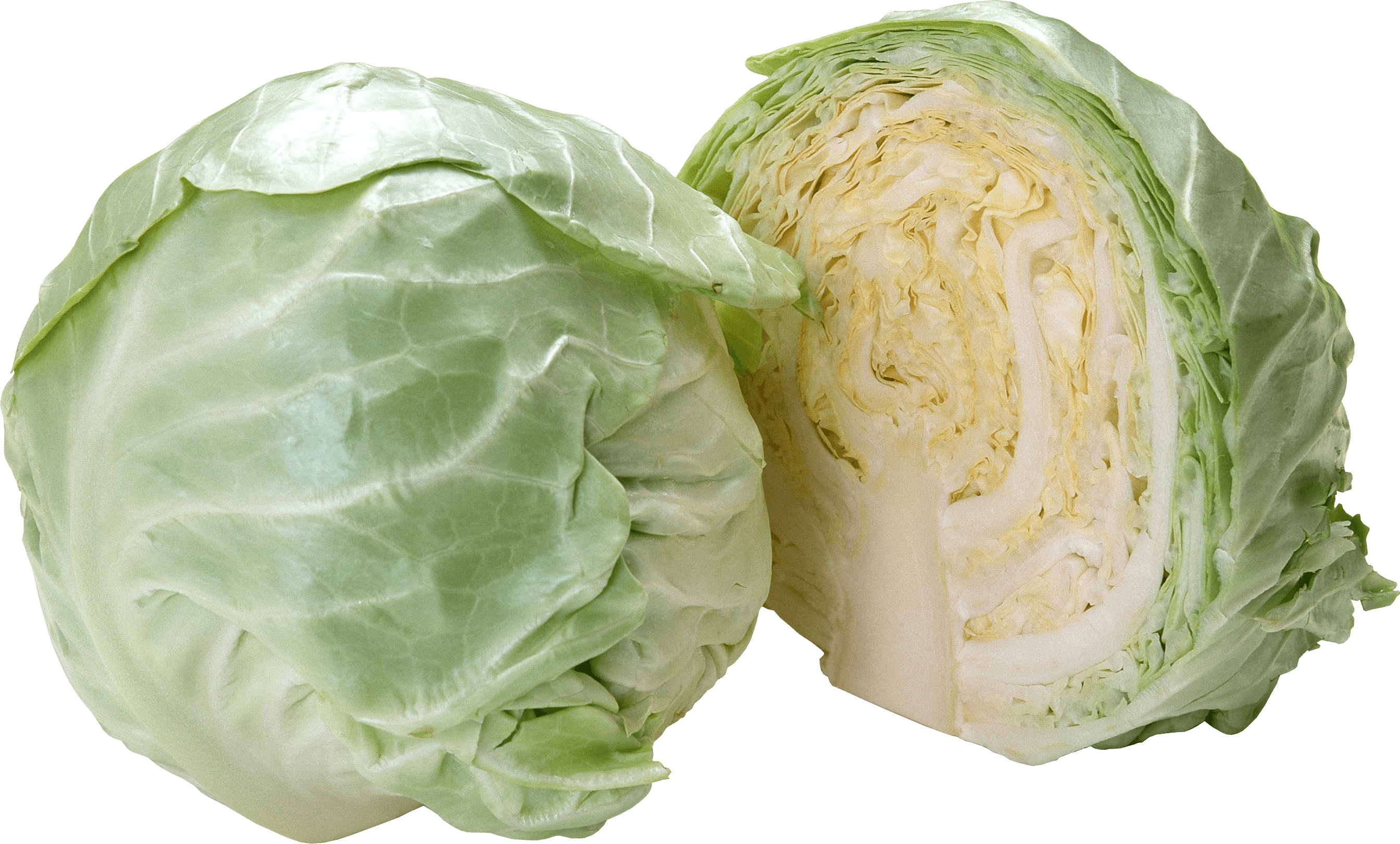 Cabbage Png Image PNG Image