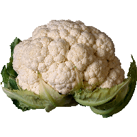 Cauliflower Png Image PNG Image