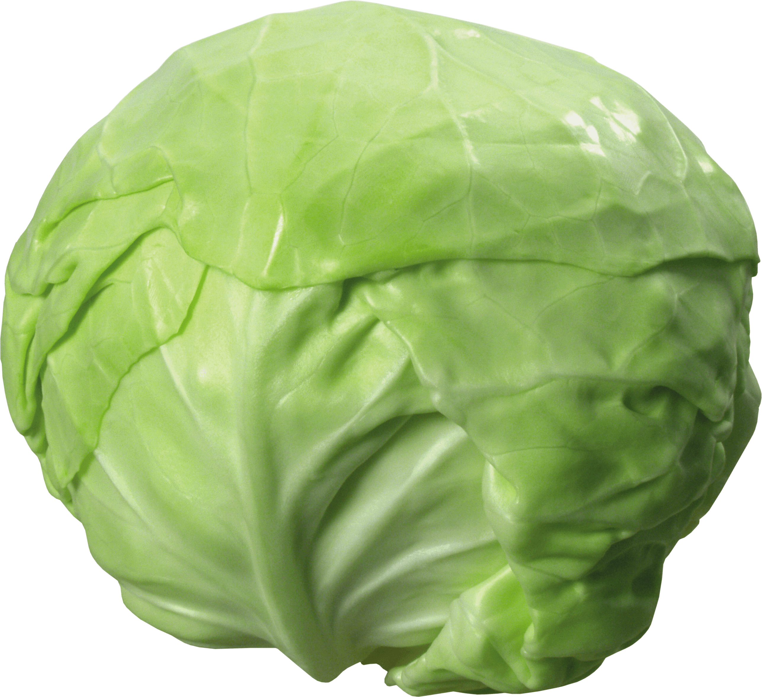 Cabbage Png Image PNG Image