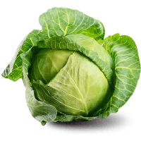 Cabbage Png Image PNG Image