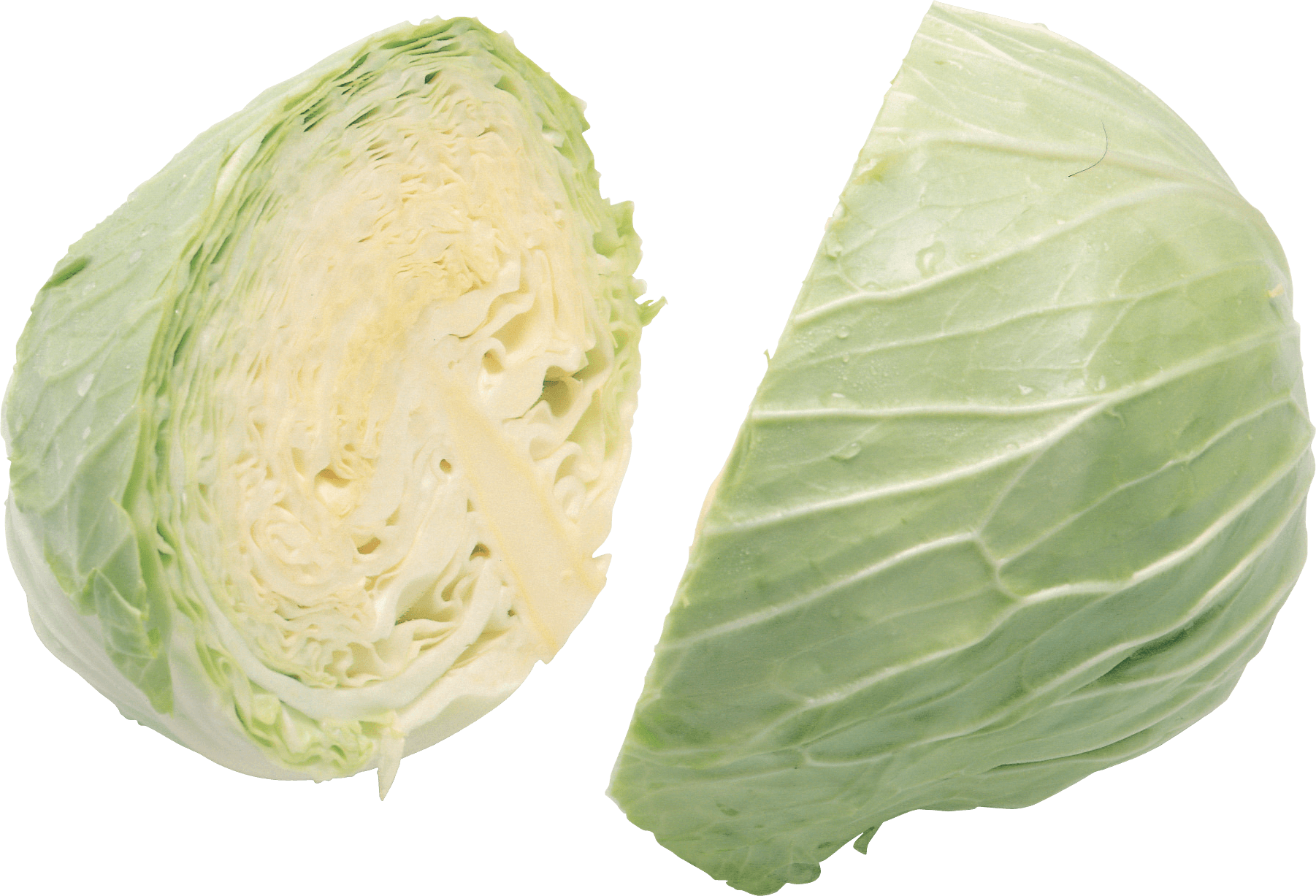 Cabbage Png Image PNG Image