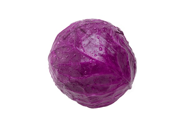 Cabbage Png Image Transparent PNG Image