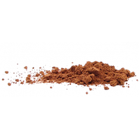 Cacao Transparent PNG Image