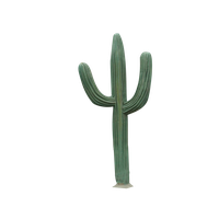 Cactus Png 4 PNG Image