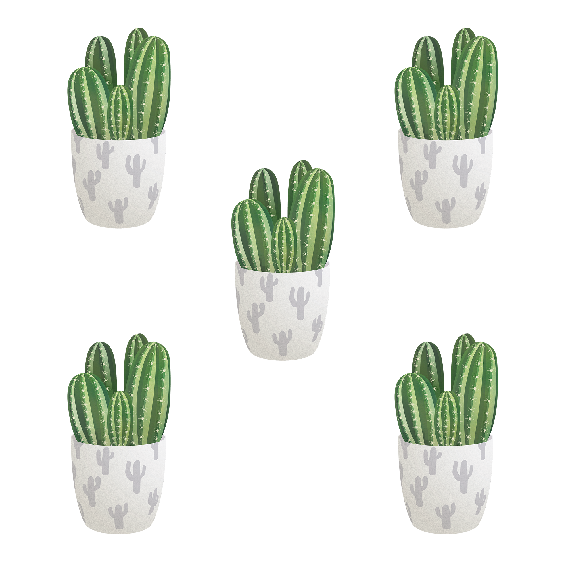 Vector Plant Cactus Free Clipart HD PNG Image