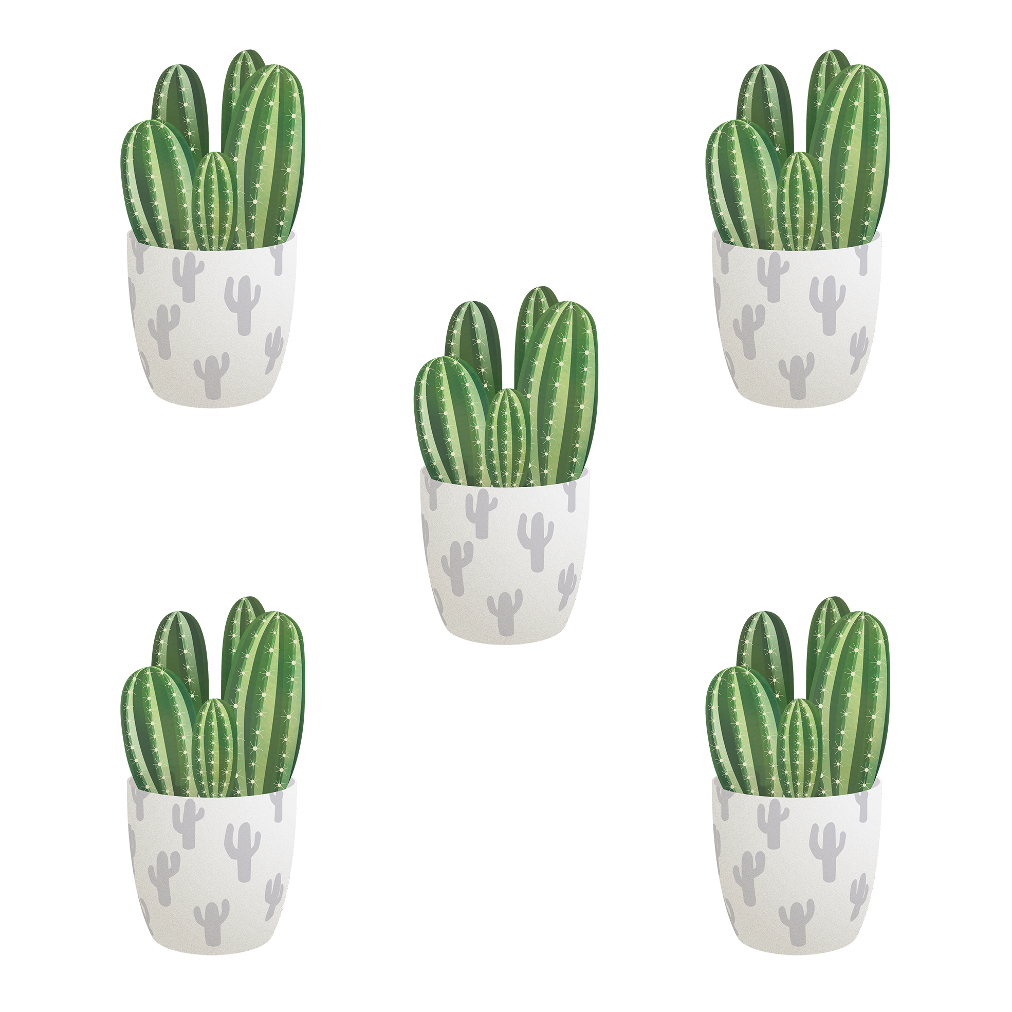 Vector Plant Cactus Free Clipart HD Transparent PNG Image