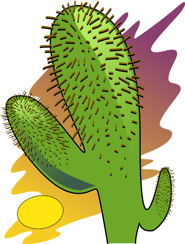 Cactus Prickle Free Download PNG HD PNG Image