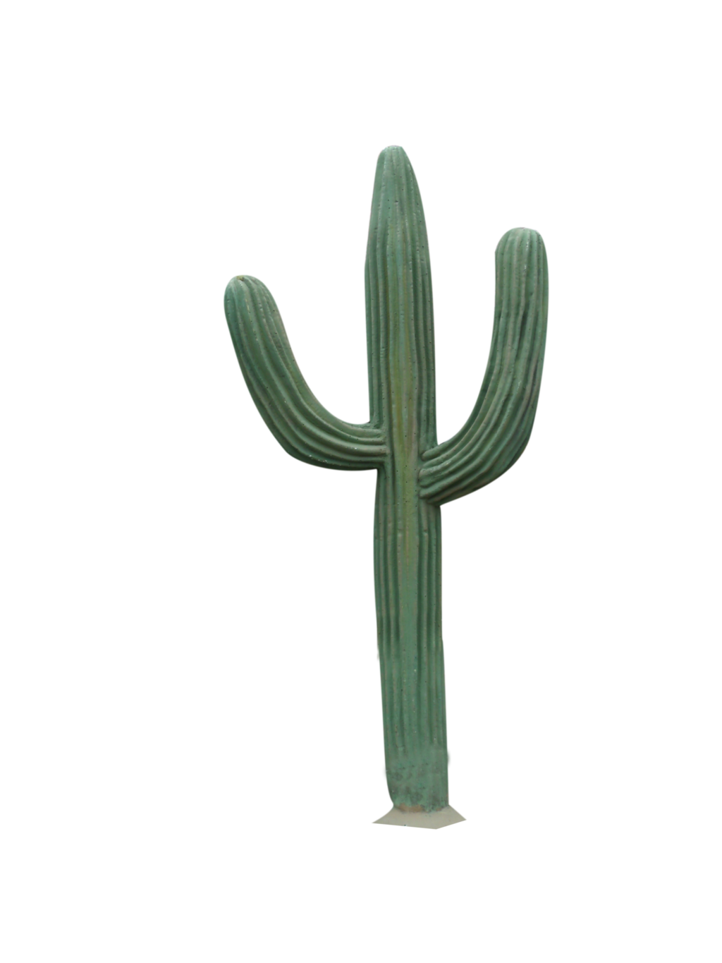 Cactus Image PNG Image